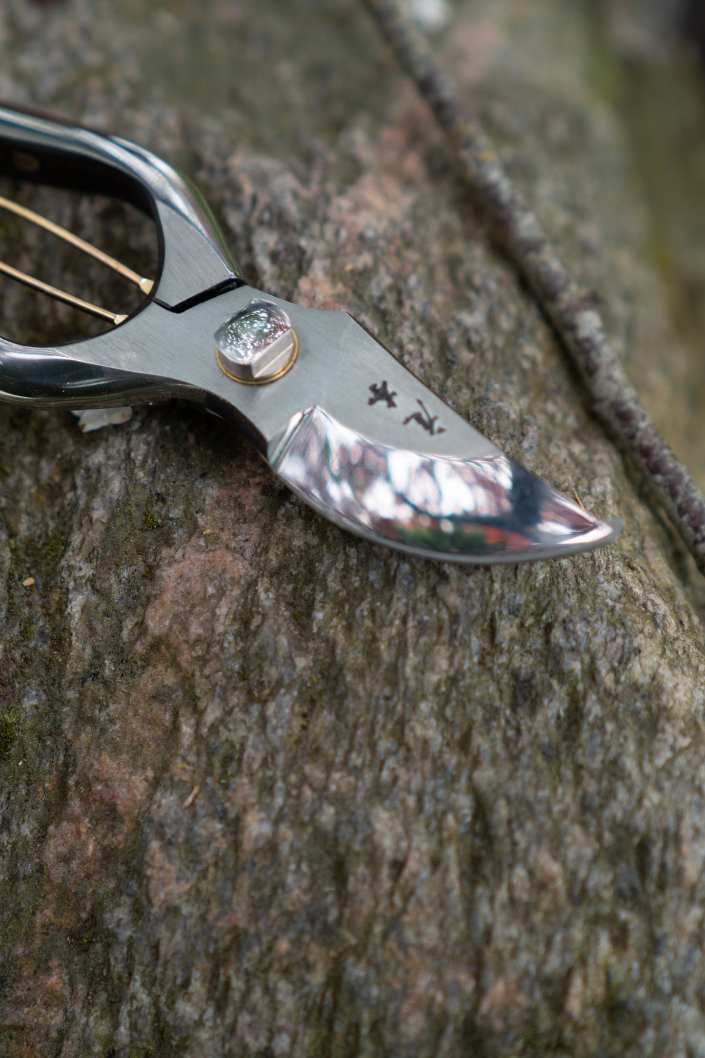 Kurumi beskærersaks Japanese Pruners