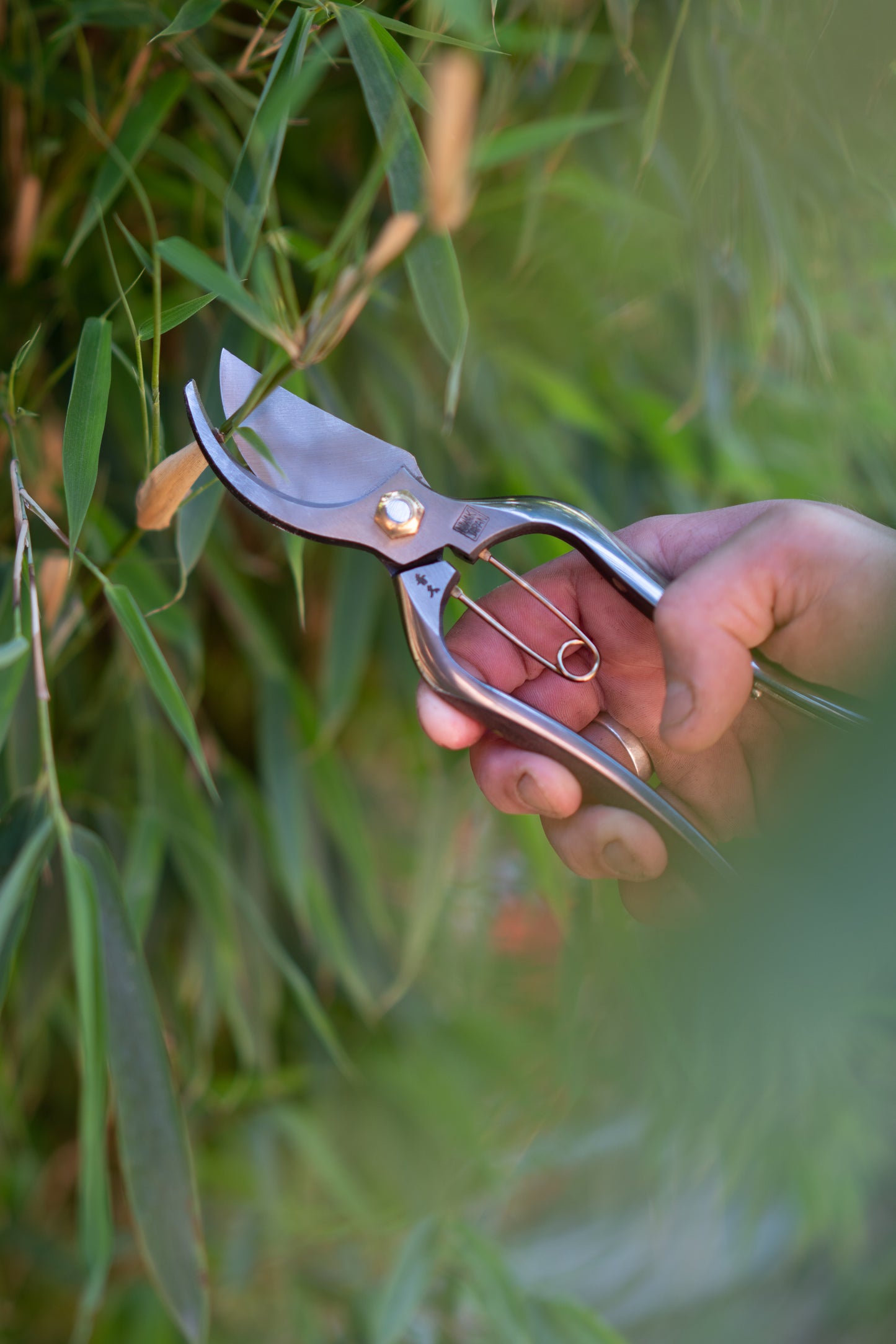 Kurumi beskærersaks Japanese Pruners