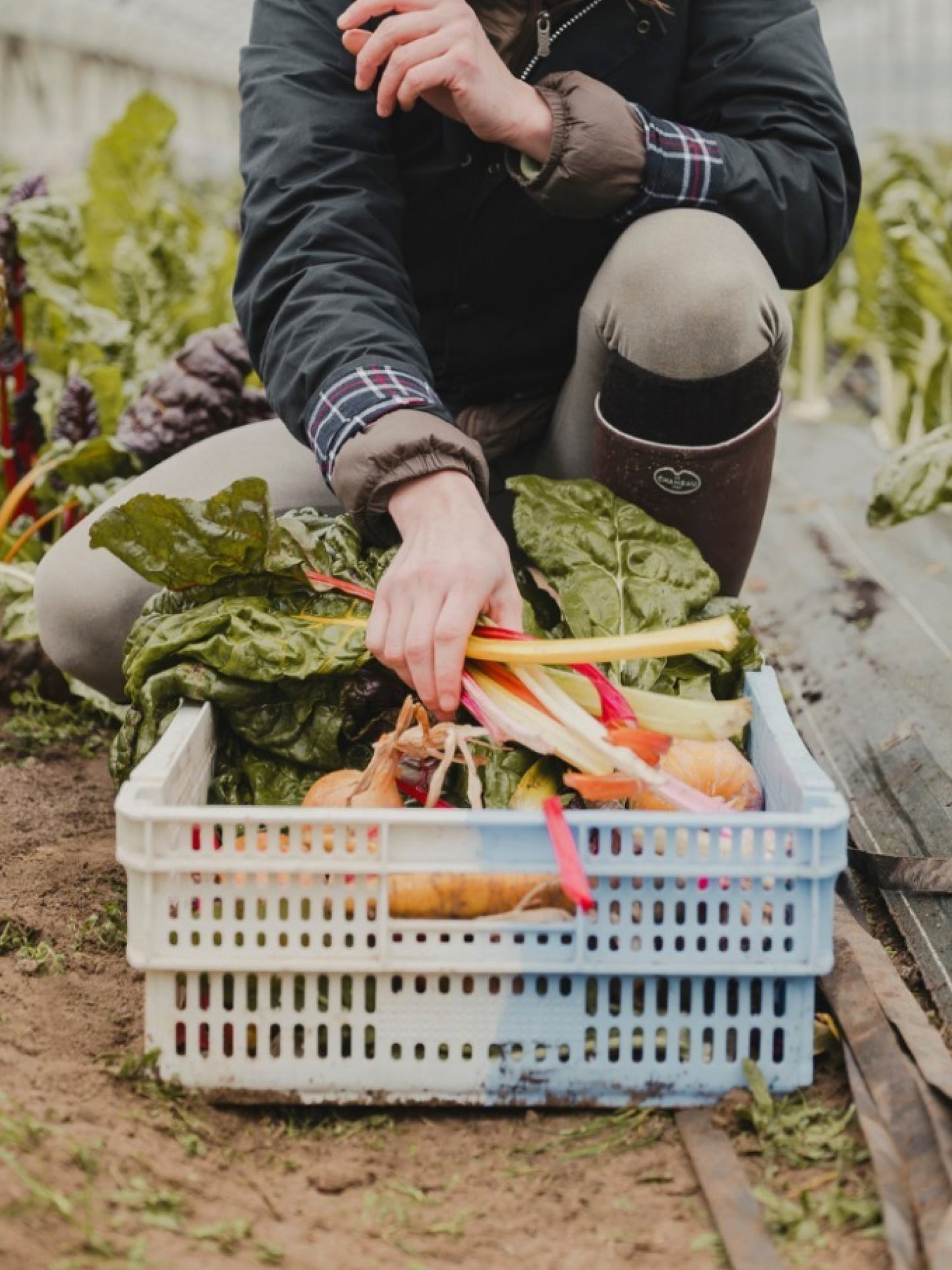 Le Chameau gummistøvler dame